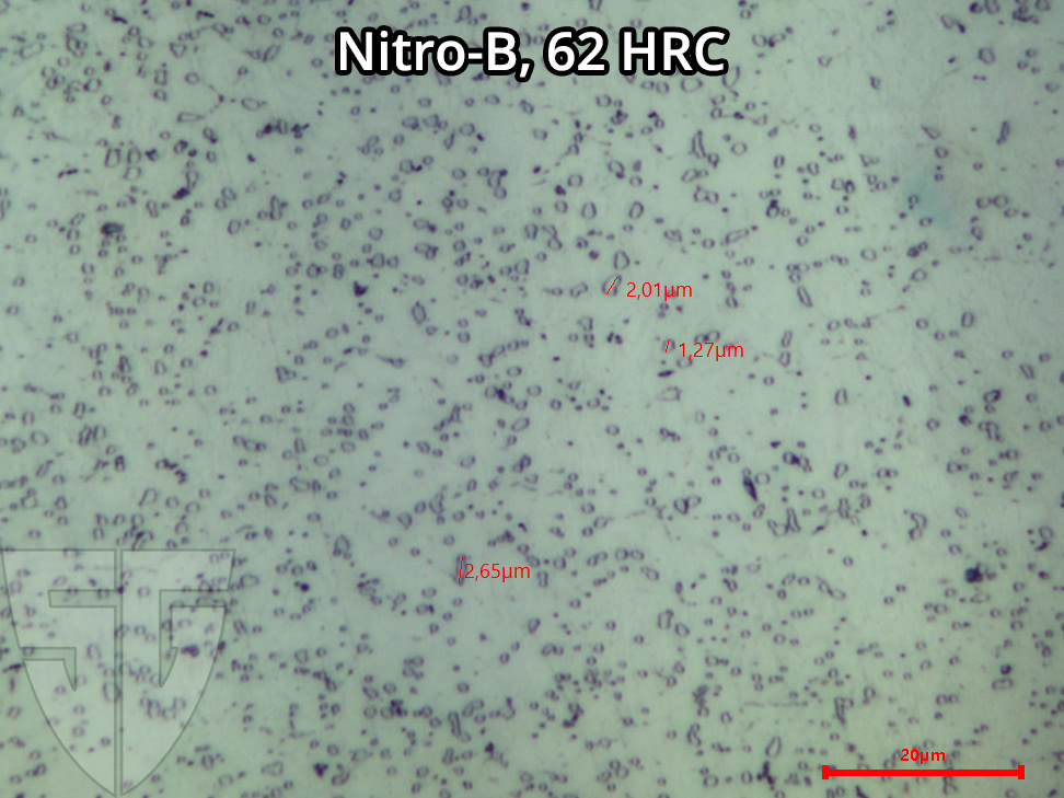 Mikroskopaufnahme Nitro-B