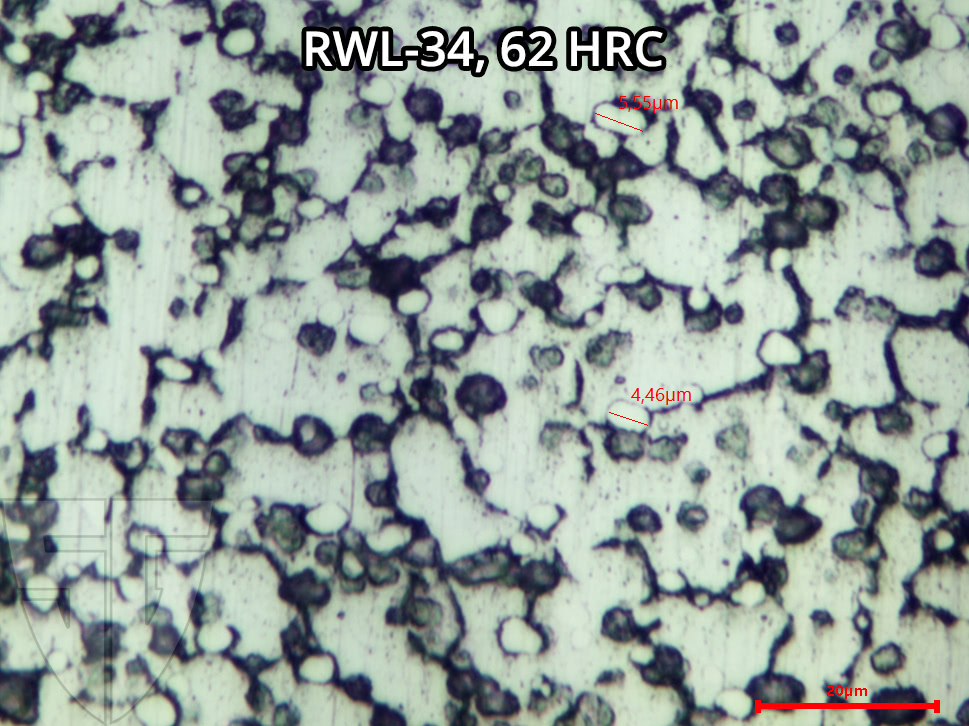 Mikroskopaufnahme RWL34