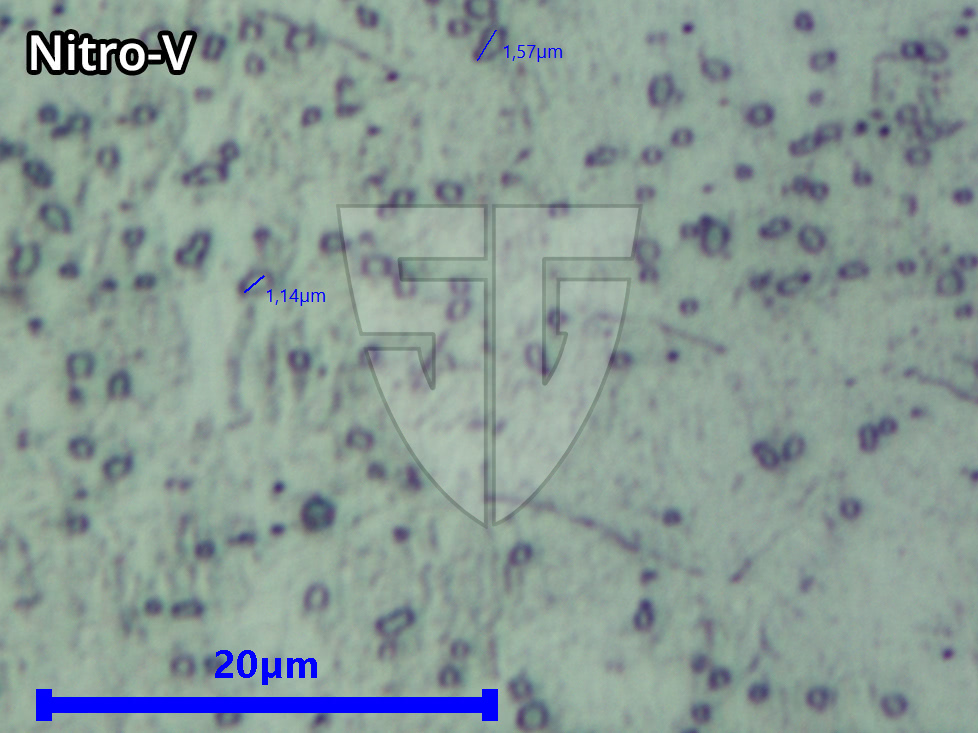 Mikroskopaufnahme Nitro-V